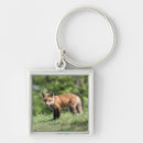 Search for cunning key rings Fox