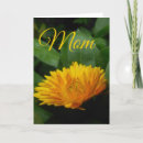 Search for yellow mothers day cards Gold