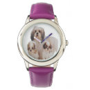 Search for shih tzu accessories Animals
