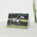 Search for dapple cards Stallion