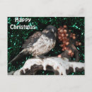 Search for winter scene christmas cards Bird