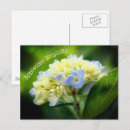 Search for simplicity postcards Inspirational