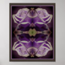 Search for rosebud posters Photography