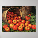 Search for baskets art Fine