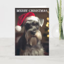 Search for miniature schnauzer dog cards Schnauzers