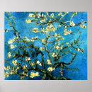 Search for almond tree posters Blossoms