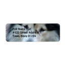 Search for malamute return address labels Husky
