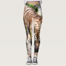 Search for climbing leggings Wildlife