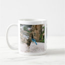 Search for blue jay mugs Animal