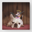 Search for french bulldog clocks Animals