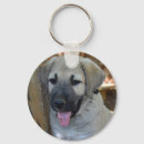 Search for sheep dog key rings Cute