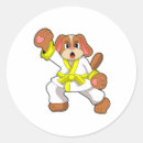 Search for funny karate stickers Birthday