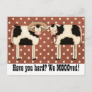 Search for herd postcards Cows