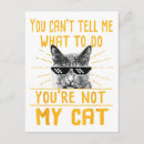 Search for funny kitty invitations Lover