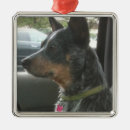 Search for red heeler christmas tree decorations Dogs