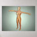 Search for biomedical posters Artery