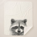 Search for raccoon blankets Animal