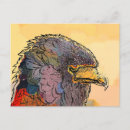 Search for hawking postcards Harris hawk