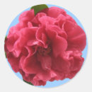 Search for camellia stickers Nature