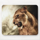 Search for lioness electronics Big