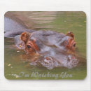 Search for hippo electronics Nature