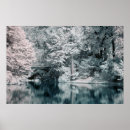 Search for infrared photography Nature