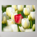 Search for close up view art Nobody