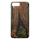 Search for redwoods iphone cases Sequoia