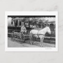 Search for horse postcards Lantern