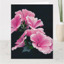 Search for beautiful rose cards Nature