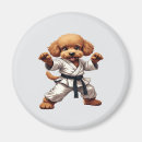 Search for kung magnets Cute