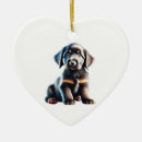 Search for flat coated retriever christmas tree decorations Puppy