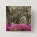 Search for savannah badges Tree