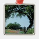 Search for leaf christmas tree decorations Season