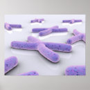 Search for microbiology art Microscopic