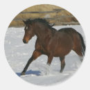 Search for thoroughbred stickers Running