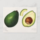 Search for avocado postcards Vegan