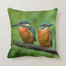 Search for kingfisher cushions Wildlife