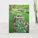 Search for great grandma birthday cards Pink