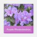 Search for rhododendron magnets Purple
