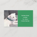 Search for adorable business cards Dog trainer