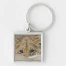 Search for lion cub square key rings Horizontal