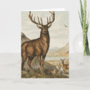 Search for buck and doe cards Hunting