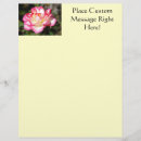 Search for white rose flyers Roses