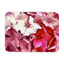 Search for hydrangea magnets Floral