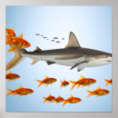 Search for funny fish art Goldfish