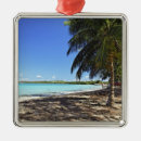 Search for scene christmas tree decorations Nature