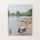 Search for duck puzzles England