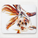 Search for calico electronics Orange