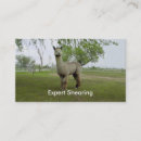 Search for shearing Animal